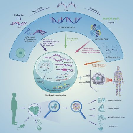 مولتی‌اُمیکس تک‌سلولی